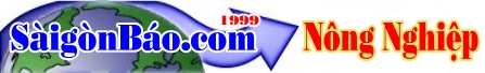 saigonbao news