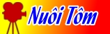 nuoi tom